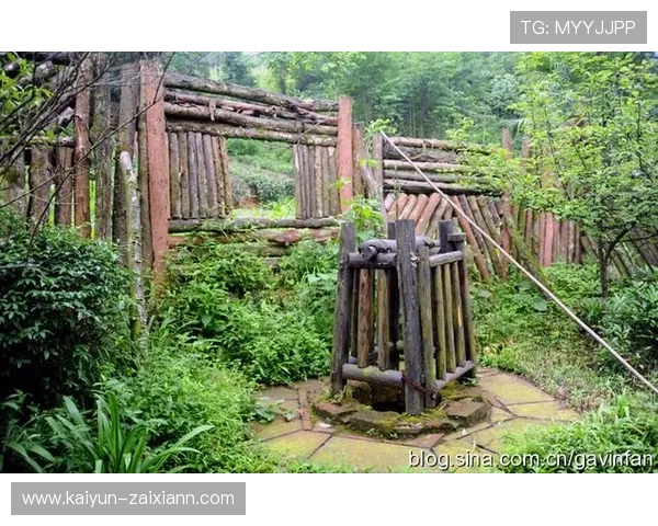 SCTV8四川乡村频道高清直播在线观看 SCTV8四川乡村频道高清直播在线观看